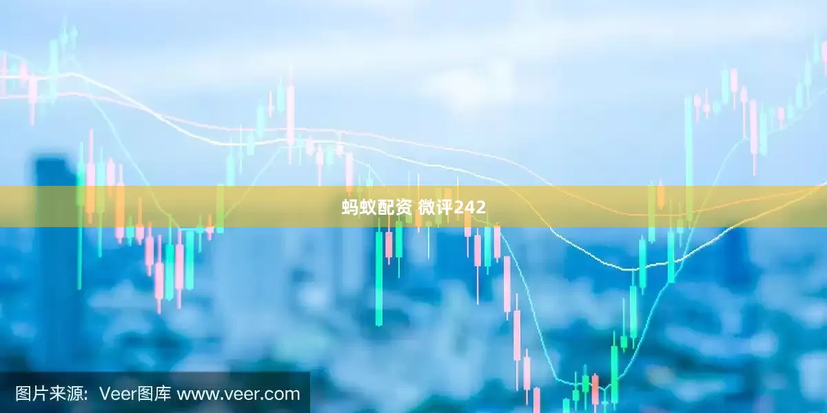 蚂蚁配资 微评242
