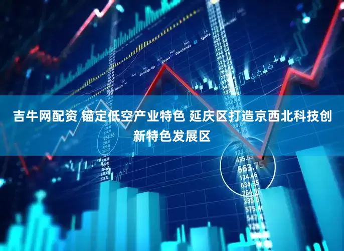吉牛网配资 锚定低空产业特色 延庆区打造京西北科技创新特色发展区