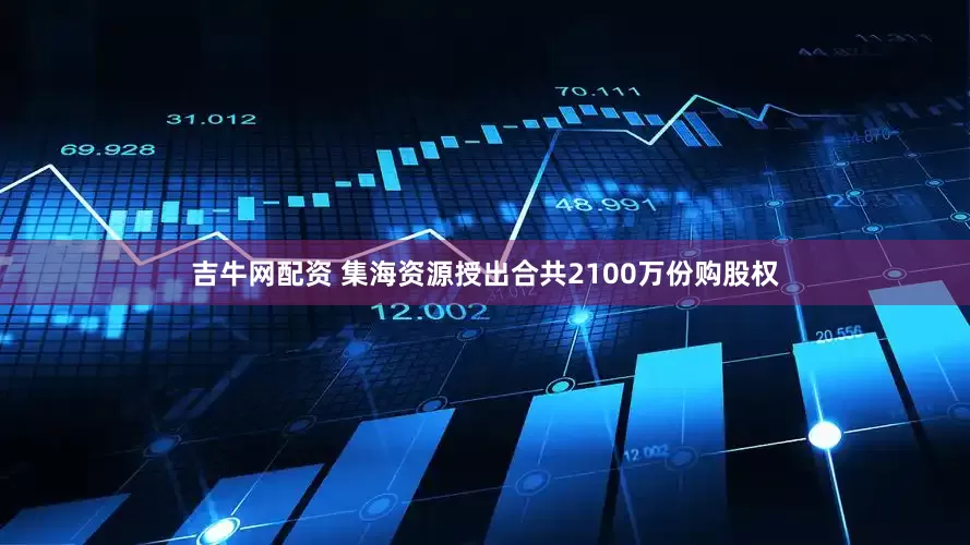 吉牛网配资 集海资源授出合共2100万份购股权