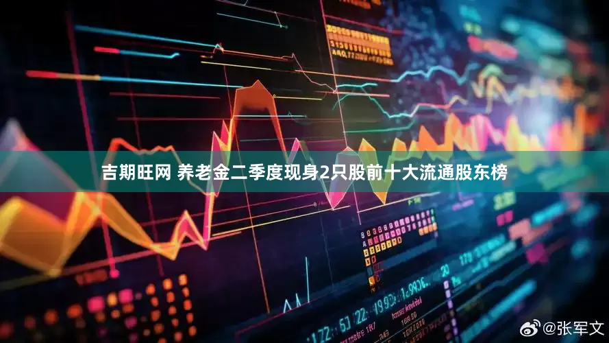吉期旺网 养老金二季度现身2只股前十大流通股东榜