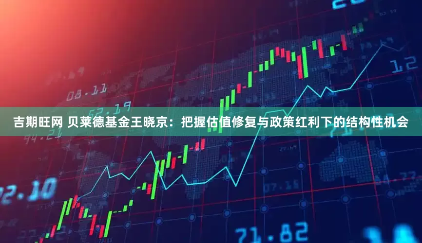 吉期旺网 贝莱德基金王晓京：把握估值修复与政策红利下的结构性机会
