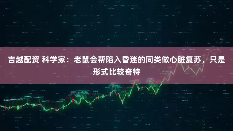 吉越配资 科学家：老鼠会帮陷入昏迷的同类做心脏复苏，只是形式比较奇特